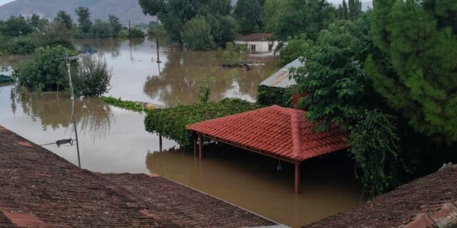 Μαρτυρία στο NEWS 24/7: SOS για τους εγκλωβισμένους στον Παλαμά – “Υπάρχουν άνθρωποι που έχουν 24 ώρες να πιουν νερό”