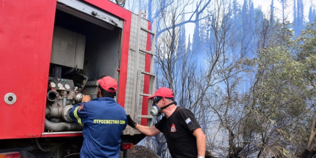 Μεσσηνία: Φωτιά ανήμερα της Πρωτοχρονιάς σε δασική έκταση στην Τριφυλλία