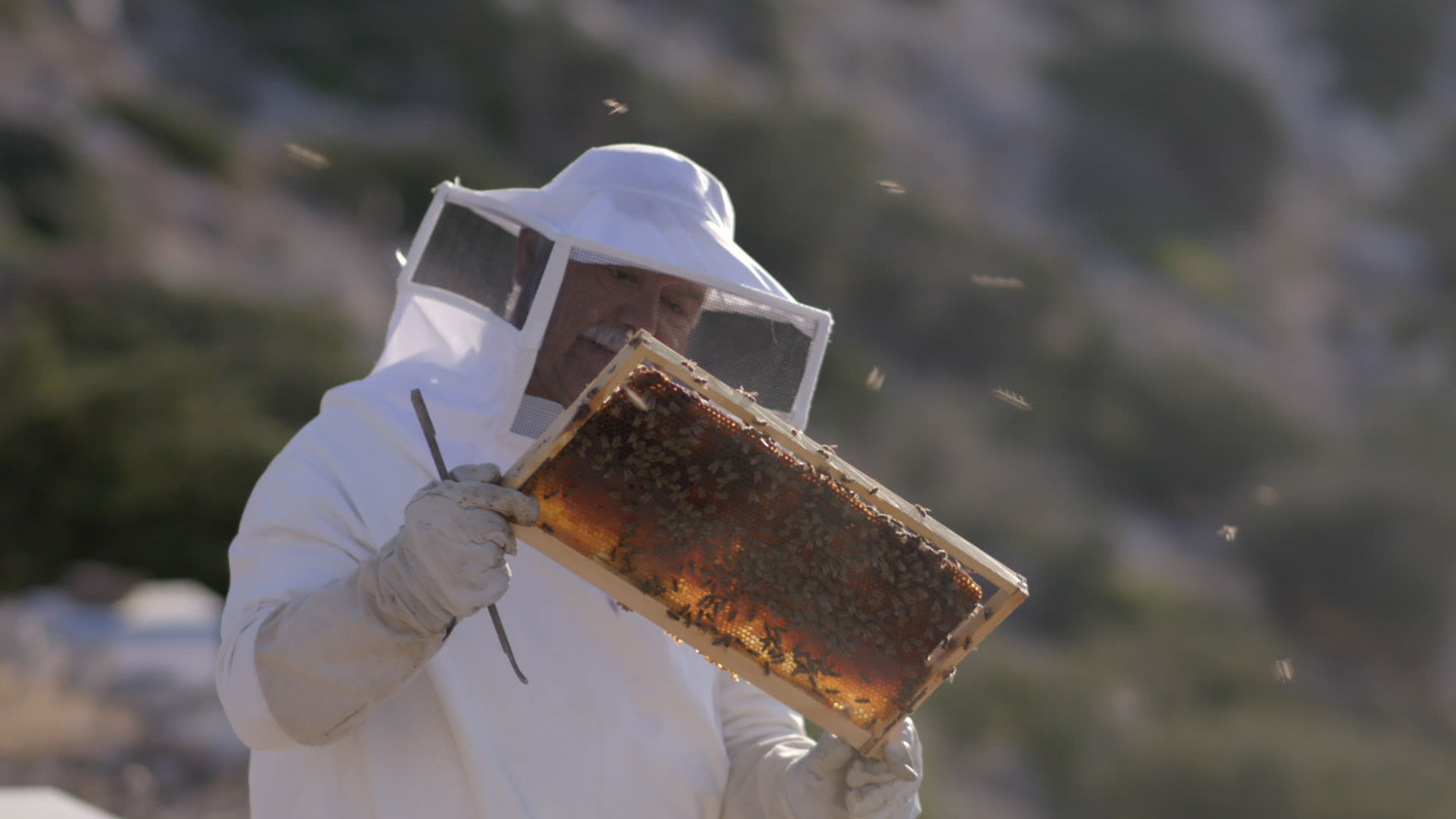 Μελισσοκόμος στη Σίκινο/ Beekeeper in Sikinos