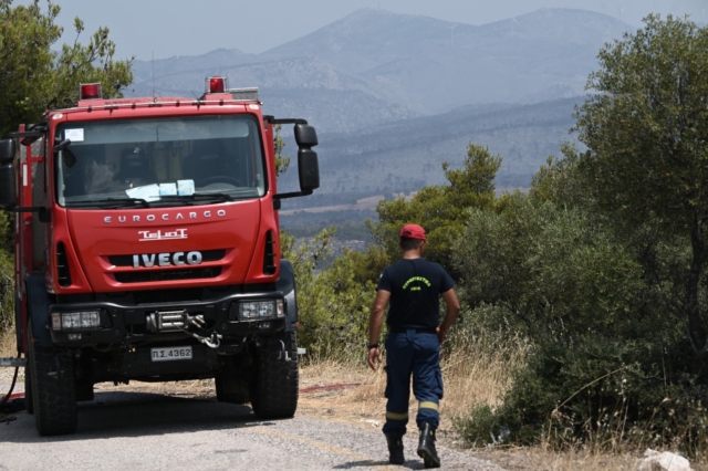 Μαραθώνας: Φωτιά κοντά στο κωπηλατοδρόμιο – Επιχειρούν ισχυρές δυνάμεις