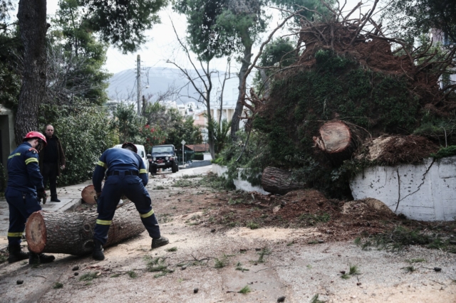 Κακοκαιρία: Περισσότερες από 480 κλήσεις στην Πυροσβεστική για κοπές δέντρων