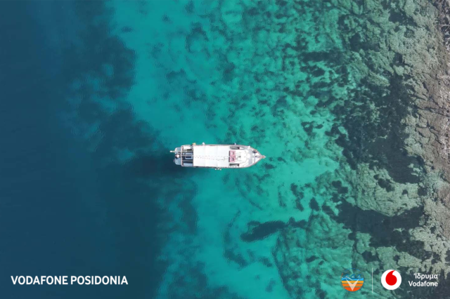 Vodafone Posidonia: Μια συντονισμένη δράση χαρτογράφησης για τη την ανάδειξη και προστασία της Ποσειδωνίας