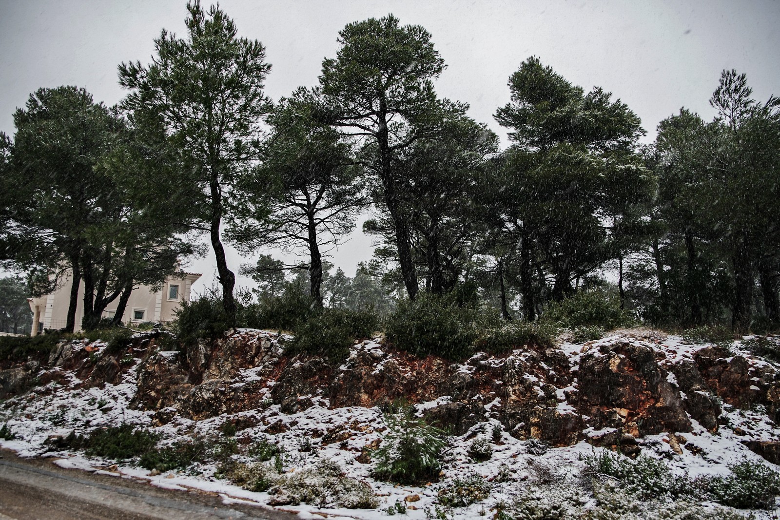 Χιονόπτωση στην Ιπποκράτειο Πολιτεία