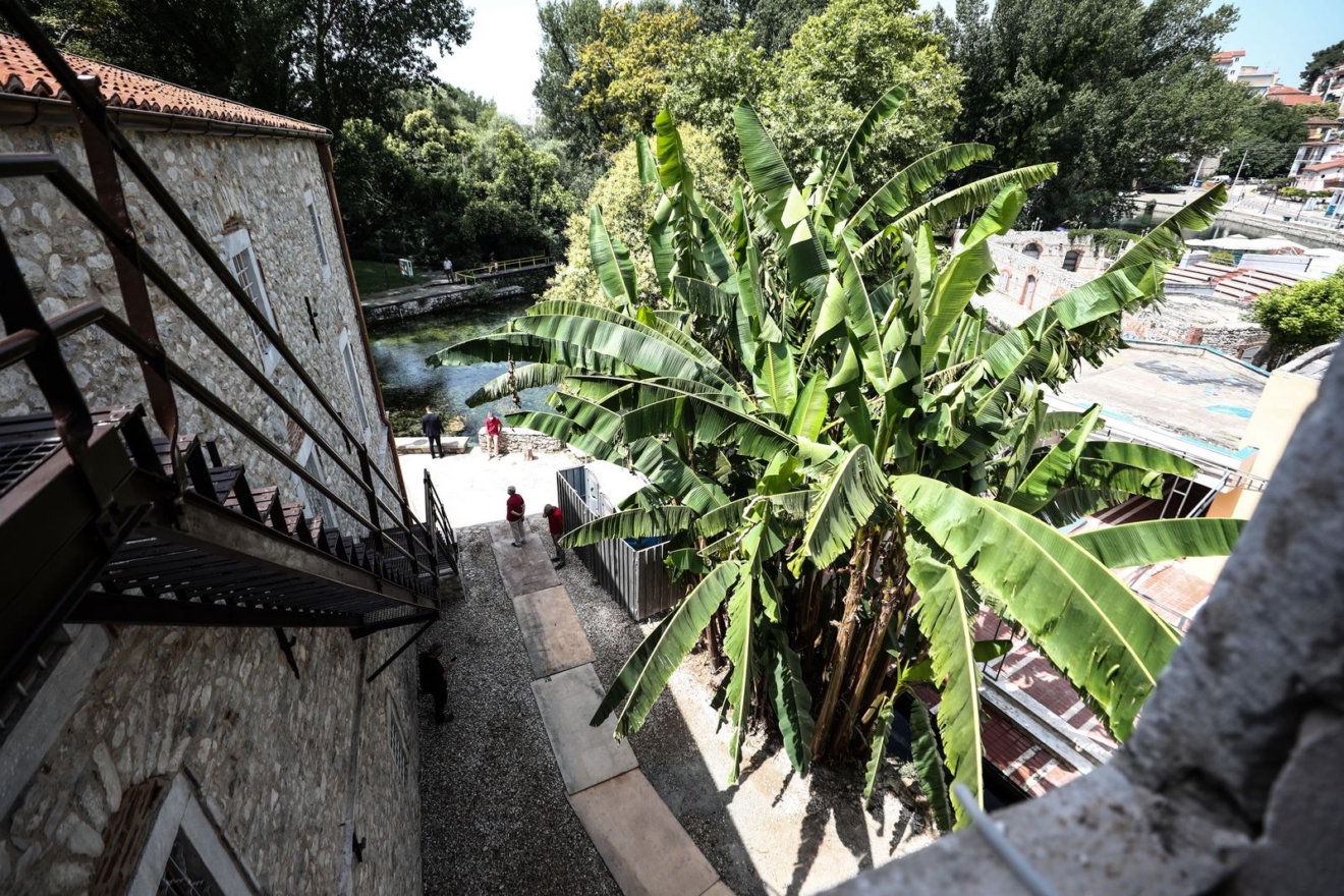 Στη Δράμα θα κάνετε το καλύτερο Οινο-γαστρονομικό ταξίδι της Άνοιξης