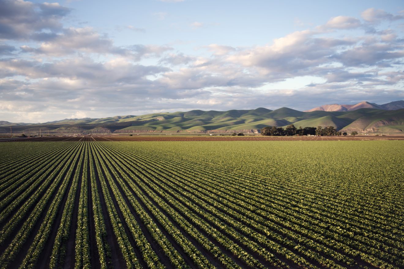 Η σημασία της βιώσιμης γεωργίας για το περιβάλλον, το κλίμα και την κοινωνία