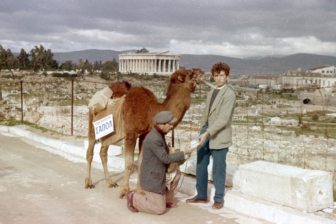 Καμήλα στην οδό Αστεροσκοπείου, 1957. Από το 1954 ένας πλανόδιος πωλητής κυκλοφορούσε στην Αθήνα με μια καμήλα, πουλώντας φιαλίδια με το υγρό σαπούνι «ΣΑΠΟΛ».