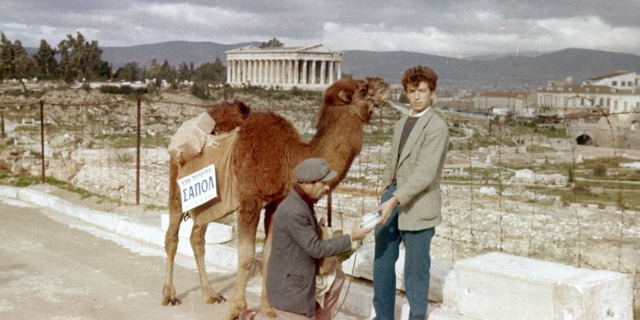 Καμήλα στην οδό Αστεροσκοπείου, 1957. Από το 1954 ένας πλανόδιος πωλητής κυκλοφορούσε στην Αθήνα με μια καμήλα, πουλώντας φιαλίδια με το υγρό σαπούνι «ΣΑΠΟΛ».