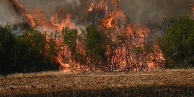 Υπό έλεγχο η φωτιά στον Πυργετό Λάρισας