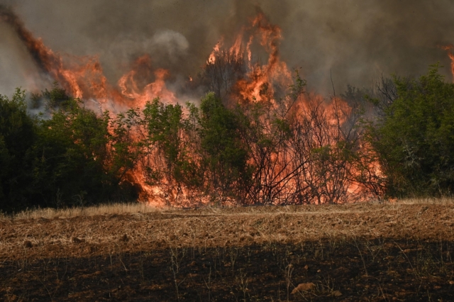 Πολύ υψηλός ο κίνδυνος πυρκαγιάς το Σάββατο σε έξι Περιφέρειες