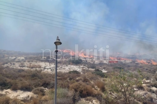 Ηράκλειο: Φωτιά στην περιοχή Καρτερός
