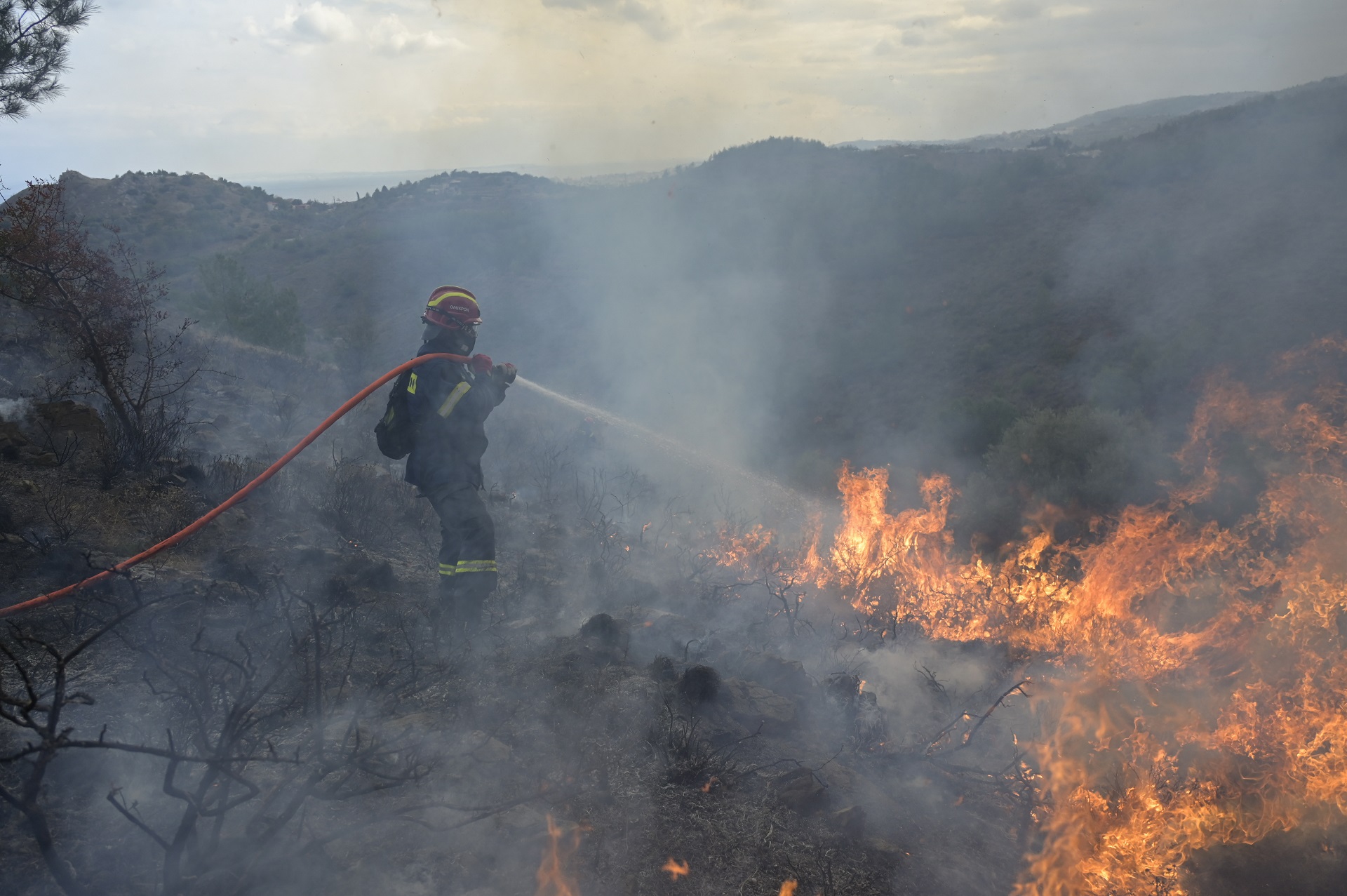 Στιγμιότυπο από τη φωτιά στο δάσος της Δαδιάς