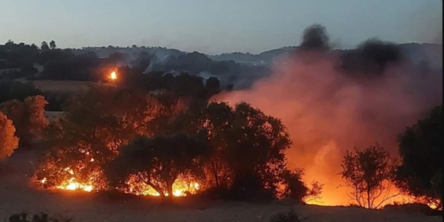 Φωτιά στην Πάφο