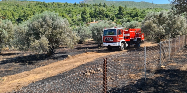 Ακαθάριστα οικόπεδα: Παράταση για την υποβολή δηλώσεων – Η διαδικασία