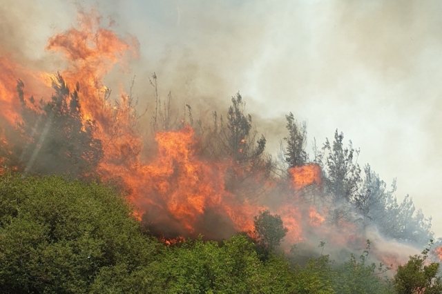 Mεγάλη φωτιά στον οικισμό Λίμνη του Δήμου Βόλβης