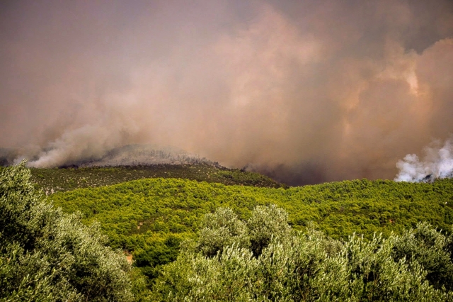 Φωτιά στην Εύβοια: Τεράστιο το πύρινο μέτωπο – Μπαράζ εκκενώσεων