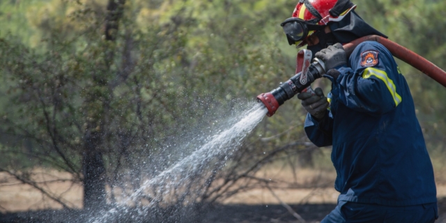 Δράμα: Φωτιά σε δασική έκταση στο Πανόραμα