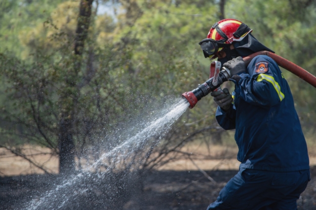 Δράμα: Φωτιά σε δασική έκταση στο Πανόραμα