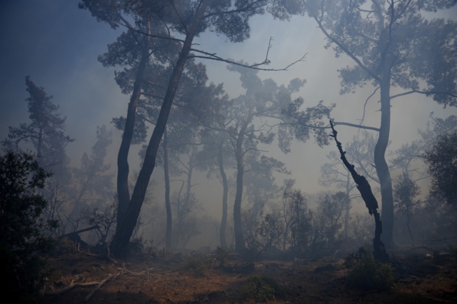 Υπό μερικό έλεγχο η φωτιά στην Τριάδα Σερρών