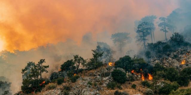 Δασικές πυρκαγιές λόγω της κλιματικής αλλαγής