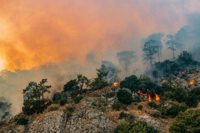 Δασικές πυρκαγιές λόγω της κλιματικής αλλαγής