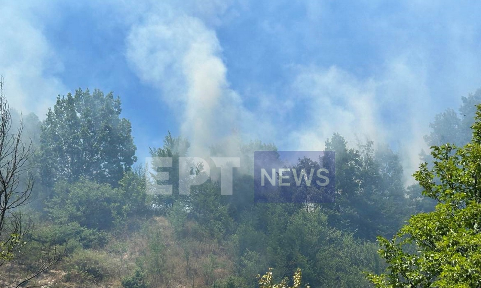 Φωτιά στην Καστοριά