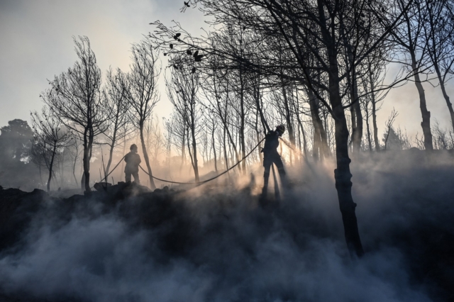 Φωτιές: Ενεργά μέτωπα σε Ζάκυνθο και Δίστομο – Η κατάσταση σε Σταμάτα και Κερατέα
