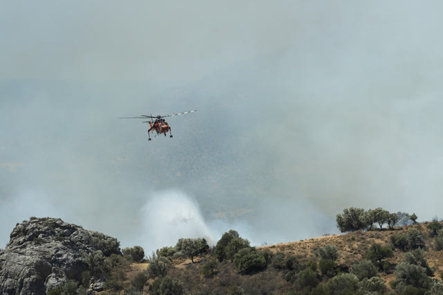 Φωτιά σε δάσος στο Δαφνούδι Σερρών