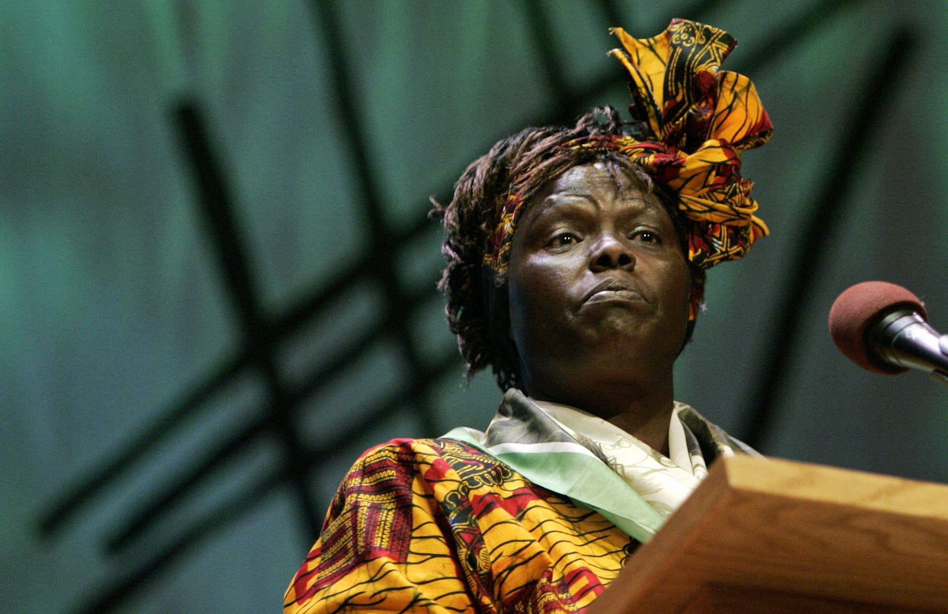 Γυναίκες που έγραψαν Ιστορία / Wangari Maathai, 2004