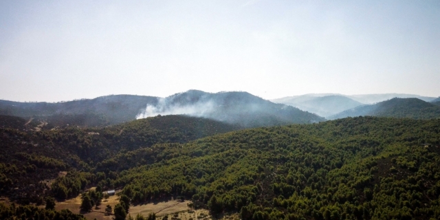 Αναζωπύρωση στην Εύβοια