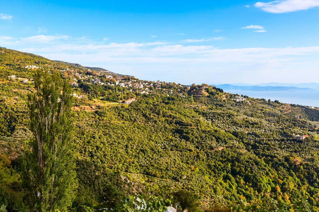 Φωτιά στο Πήλιο: Μεγάλη κινητοποίηση της Πυροσβεστικής – Μήνυμα από το 112