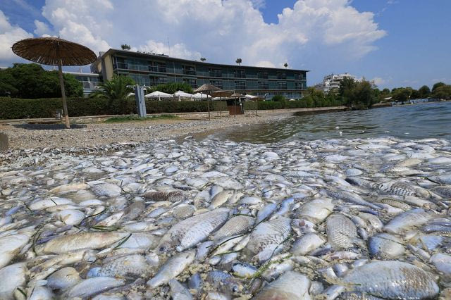 Επεκτείνεται κατά 6 έως 12 μήνες η προστασία από κατασχέσεις και οφειλές των πληγέντων από θεομηνίες