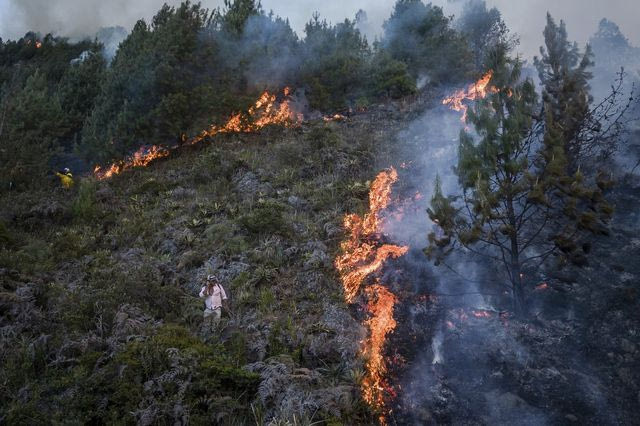 Φωτιά στην Κολομβία (φωτογραφία αρχείου)