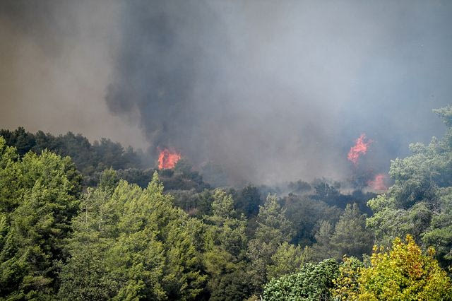 ΠΥΡΚΑΓΙΑ ΣΕ ΔΑΣΙΚΗ ΕΚΤΑΣΗ ΣΤΗ ΠΕΡΙΟΧΗ ΓΕΡΑΚΙ ΑΜΑΛΙΑΔΑΣ ΣΤΗΝ ΗΛΕΙΑ