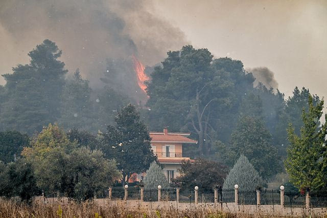 ΠΥΡΚΑΓΙΑ ΣΕ ΔΑΣΙΚΗ ΕΚΤΑΣΗ ΣΤΗ ΠΕΡΙΟΧΗ ΓΕΡΑΚΙ ΑΜΑΛΙΑΔΑΣ ΣΤΗΝ ΗΛΕΙΑ