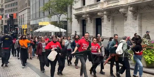 Νέα Υόρκη: Πάνω από 200 συλλήψεις διαδηλωτών υπέρ των Παλαιστινίων