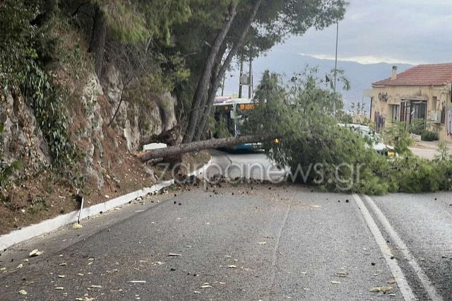 Χανιά: Κυκλοφοριακό κομφούζιο από πτώση δέντρου στην Ακρωτηρίου