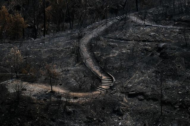 Greenpeace: “Καυτή” χρονιά το 2024 – Το θερμότερο έτος που έχει καταγραφεί