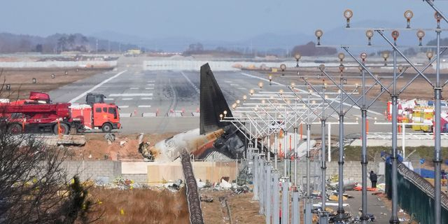 Νότια Κορέα: Βρέθηκαν φτερά και αίμα πουλιών στους κινητήρες του αεροσκάφους που συνετρίβη