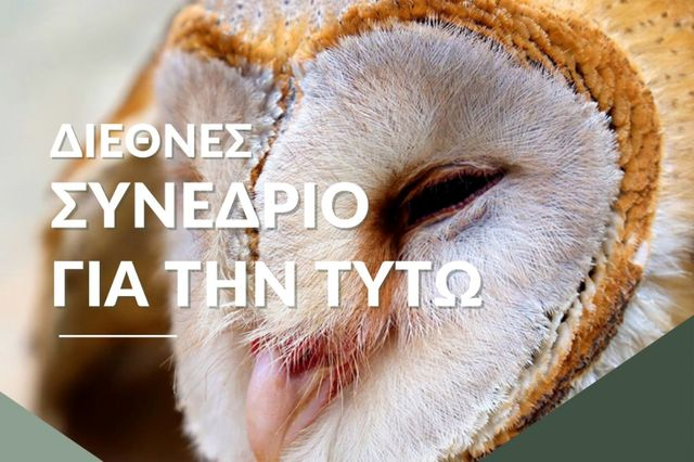 Διεθνές Συνέδριο για την Τυτώ στις 20 Ιανουαρίου 2025 στην Αθήνα