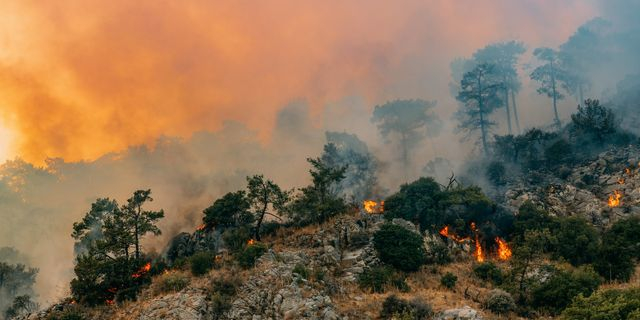 Τα μηνύματα της κλιματικής αλλαγής για το 2024 – Η αποτίμηση και οι κίνδυνοι