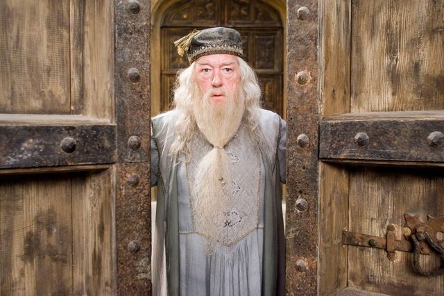 Harry Potter: Η επιλογή για τον ρόλο του Dumbledore στη σειρά του HBO ίσως σε απογοητεύσει