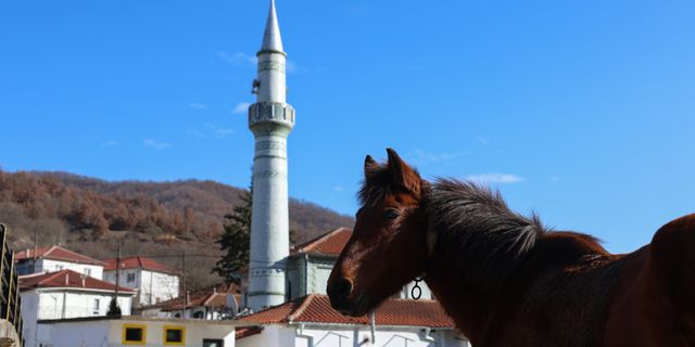 Ζεστά μπάνια και καβουρμάς στα Πομακοχώρια