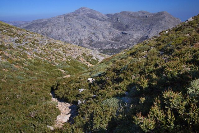 Μονοπάτι στον Ψηλορείτη (φωτογραφία αρχείου)