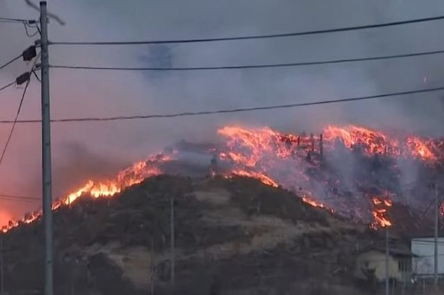 Μεγάλη πυρκαγιά κατακαίει τα δάση της Ιαπωνίας – Χιλιάδες εκκενώσεις