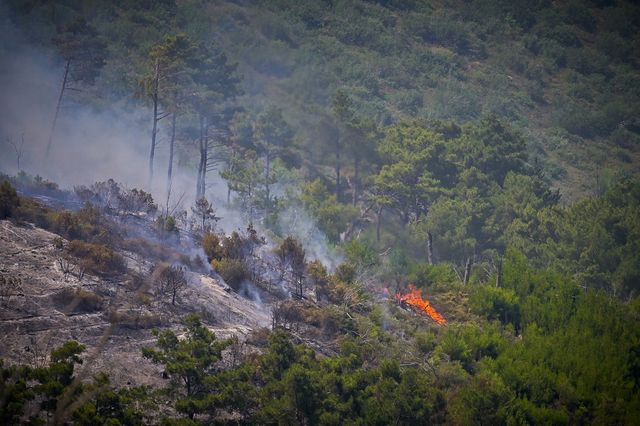 Υπό μερικό έλεγχο η φωτιά στη Σάμο